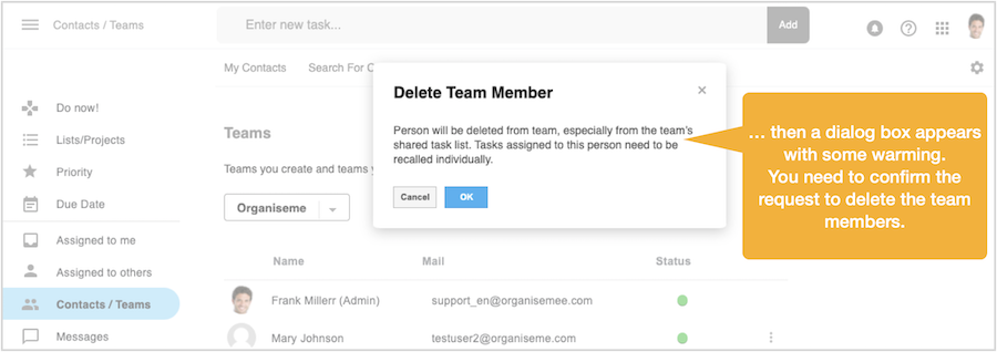 Confirm to delete team meber